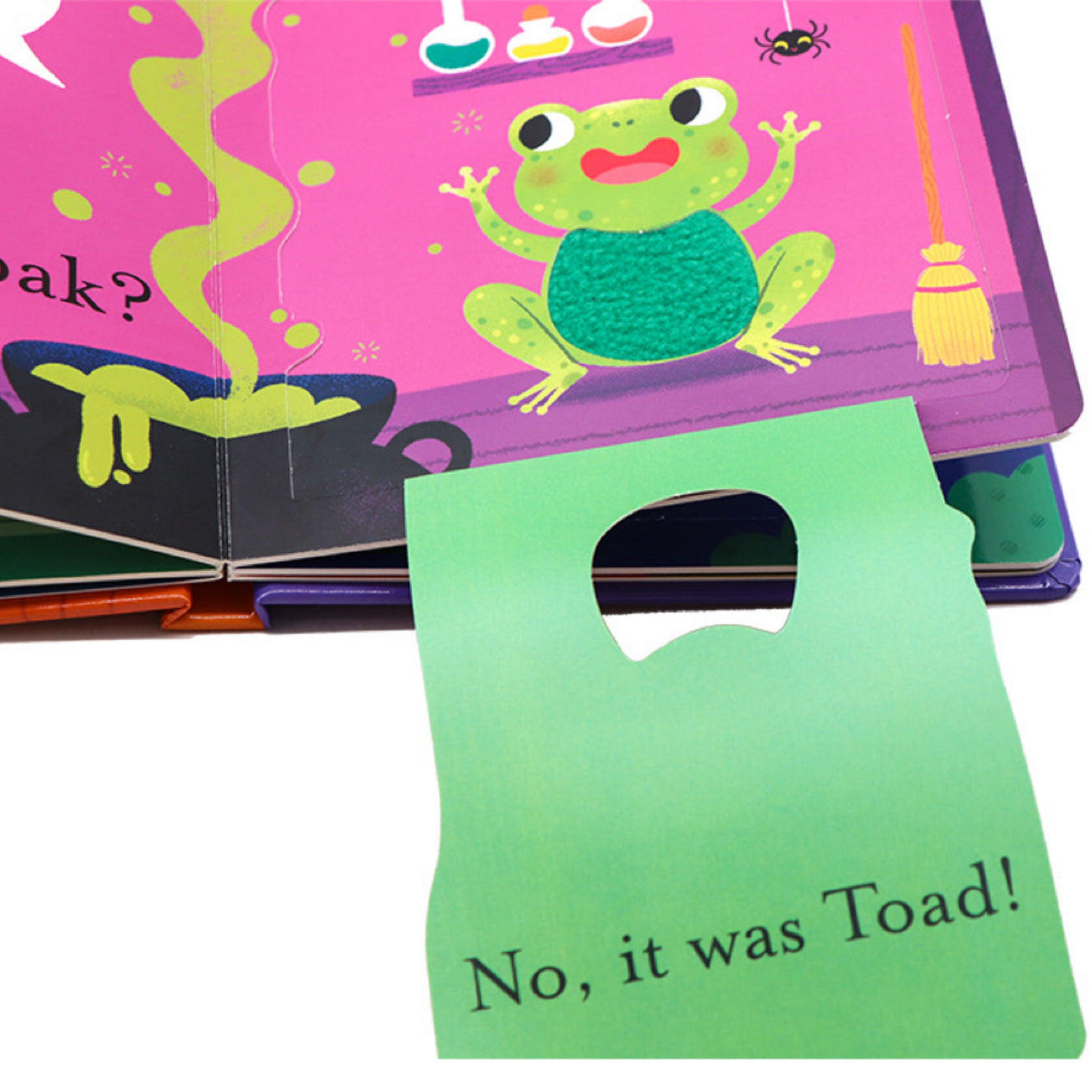 A Lift-the-flap touch and feel book: Who said Boo?