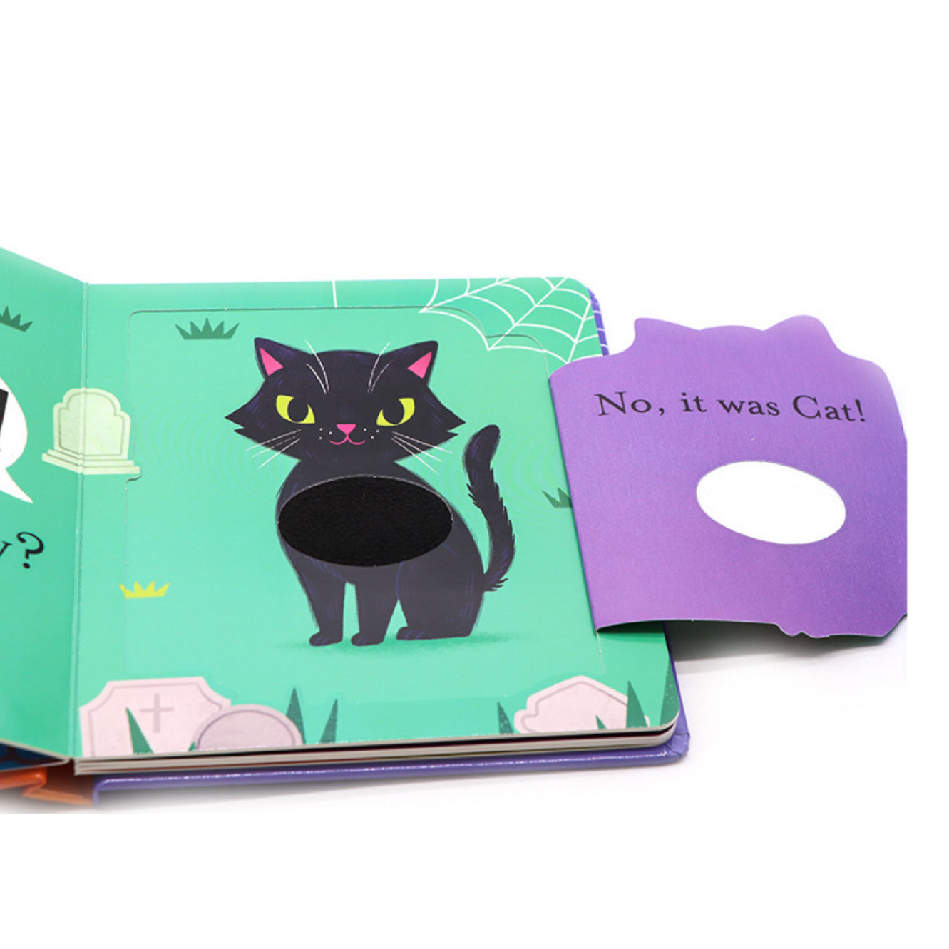 A Lift-the-flap touch and feel book: Who said Boo?