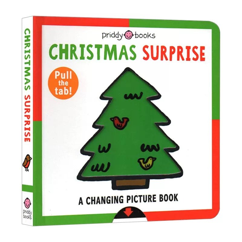 Christmas Surprise: A Changing Picture Book