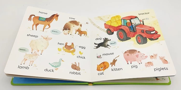 Usborne First Words Book