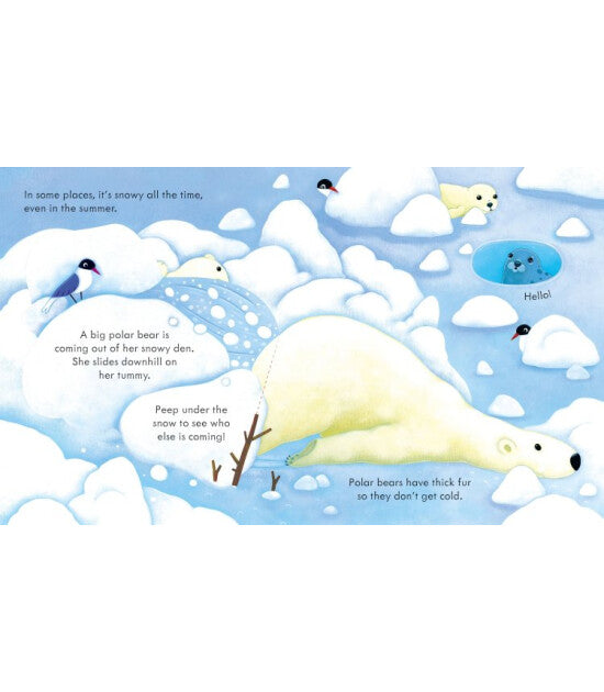 Usborne Peep Inside - Snowy Places