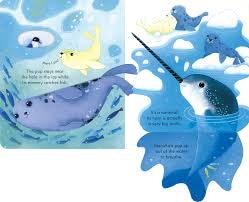 Usborne Peep Inside - Snowy Places