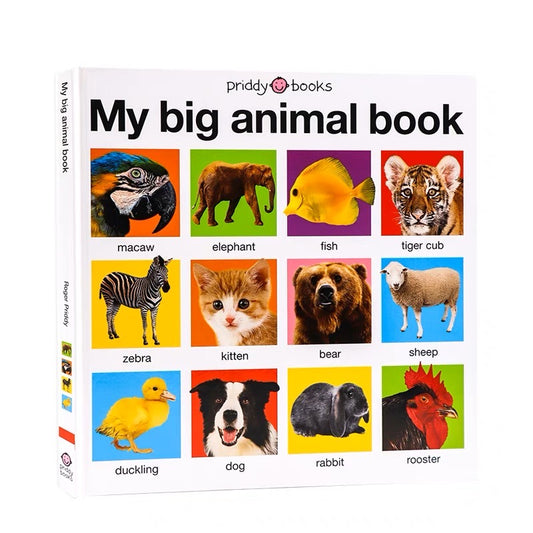 My Big Board Books: My Big Animal Book (Board book)