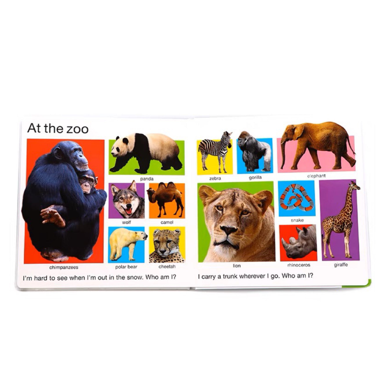 My Big Board Books: My Big Animal Book (Board book)