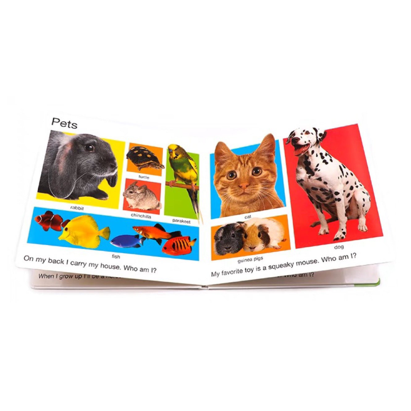 My Big Board Books: My Big Animal Book (Board book)