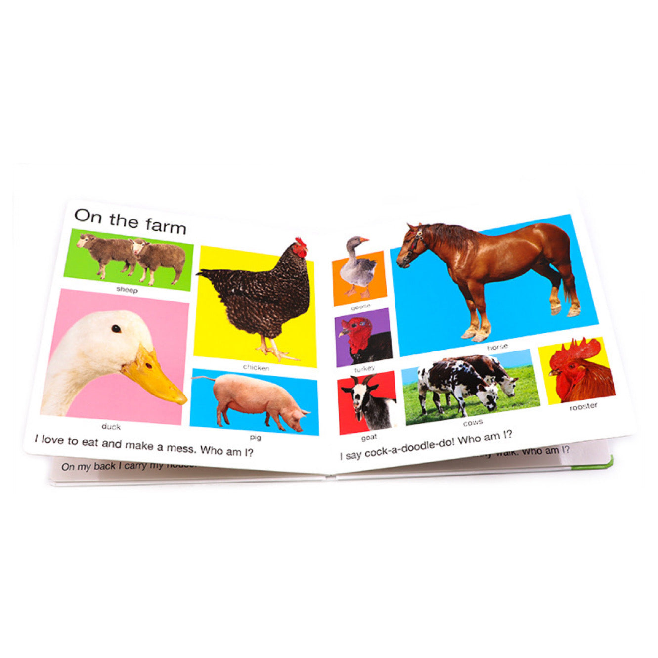 My Big Board Books: My Big Animal Book (Board book)