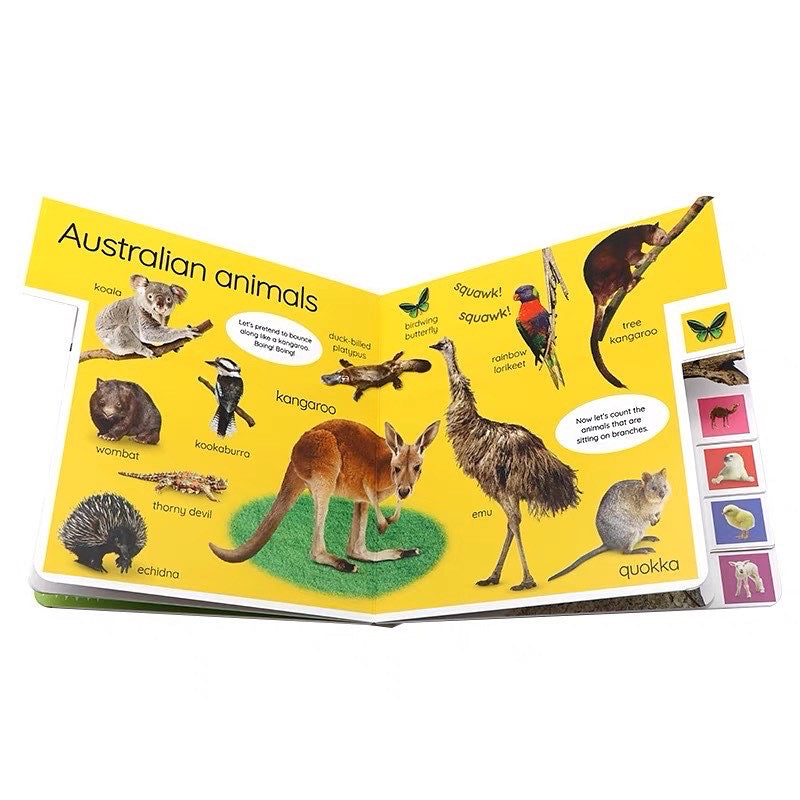 My First Animals Board Book