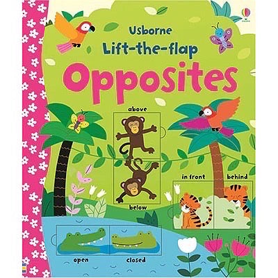 Usborne Lift-the-flap: Opposites