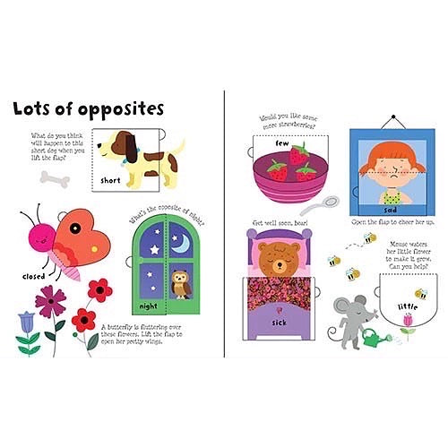 Usborne Lift-the-flap: Opposites