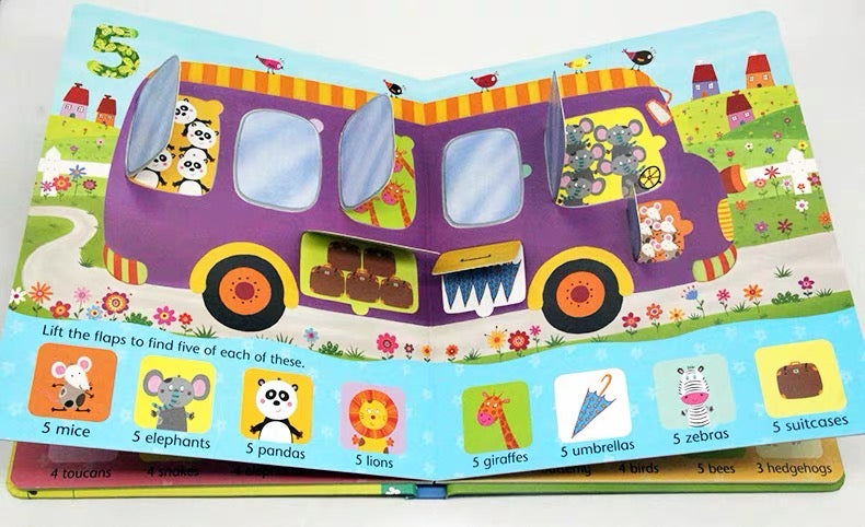 Usborne Lift-the-flap: Seasons