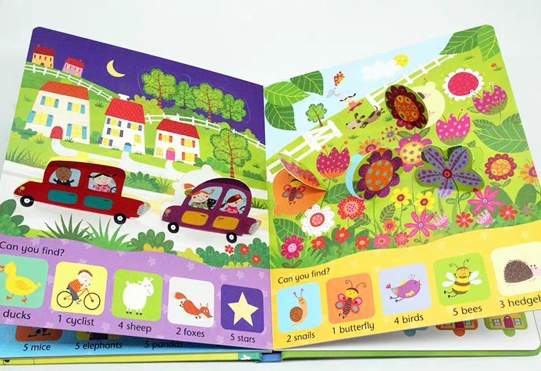 Usborne Lift-the-flap: Seasons