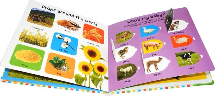 First 100 Lift-the-Flap - Farm Words (Board Book)