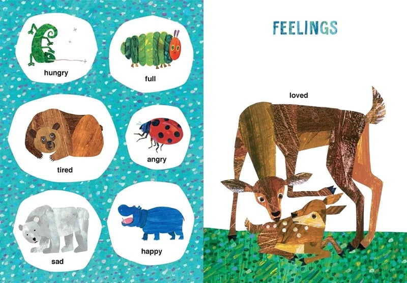 Eric Carle's Book of Many Things