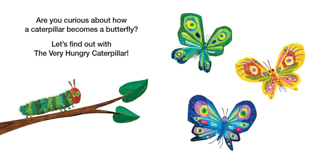 How Does a Caterpillar Change?: Life Cycles with The Very Hungry Caterpillar